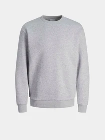 Худи и свитшоты JACK & JONES модель 12249341_Light Grey Melange Фото