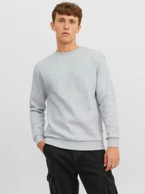 Худи и свитшоты JACK & JONES модель 12249341_Light Grey Melange Фото