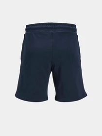 Шорты JACK & JONES модель 12249922_Navy Blazer Фото