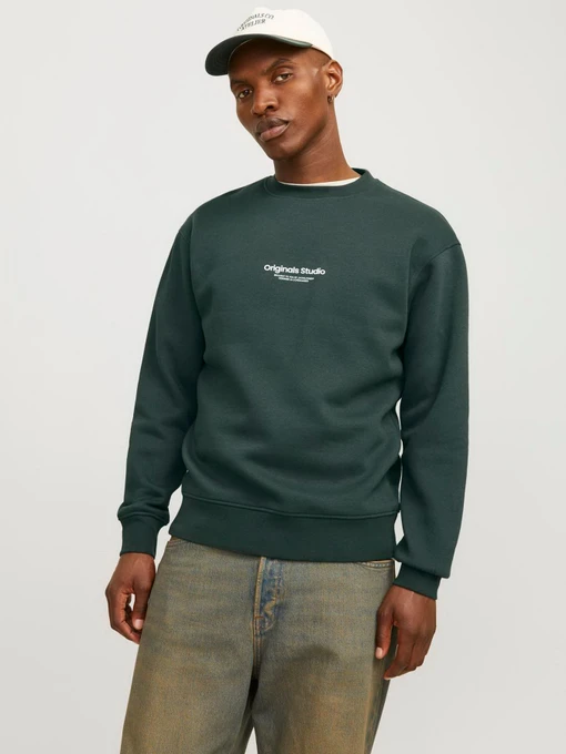 Худи и свитшоты JACK & JONES модель 12241694_Forest River Фото