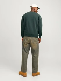 Худі та світшоти JACK & JONES модель 12241694_Forest River Фото