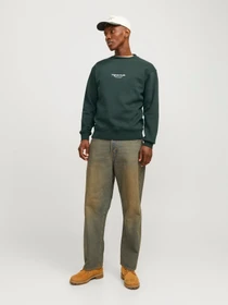 Худі та світшоти JACK & JONES модель 12241694_Forest River Фото