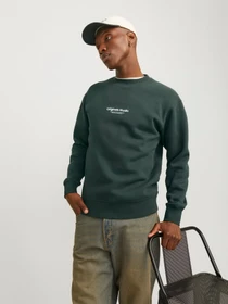 Худі та світшоти JACK & JONES модель 12241694_Forest River Фото