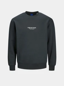 Худі та світшоти JACK & JONES модель 12241694_Forest River Фото