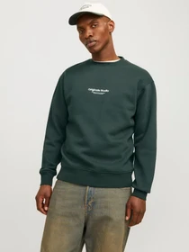 Худі та світшоти JACK & JONES модель 12241694_Forest River Фото