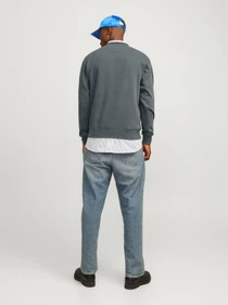 Худі та світшоти JACK & JONES модель 12241694_Iron Gate Фото