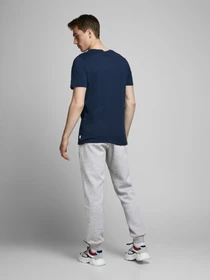 Брюки JACK & JONES модель 12178421_Light Grey Melange Фото