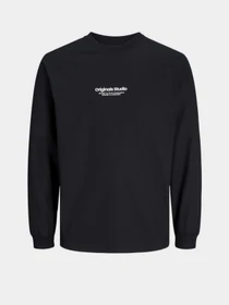 Худі та світшоти JACK & JONES модель 12251775_Black Фото