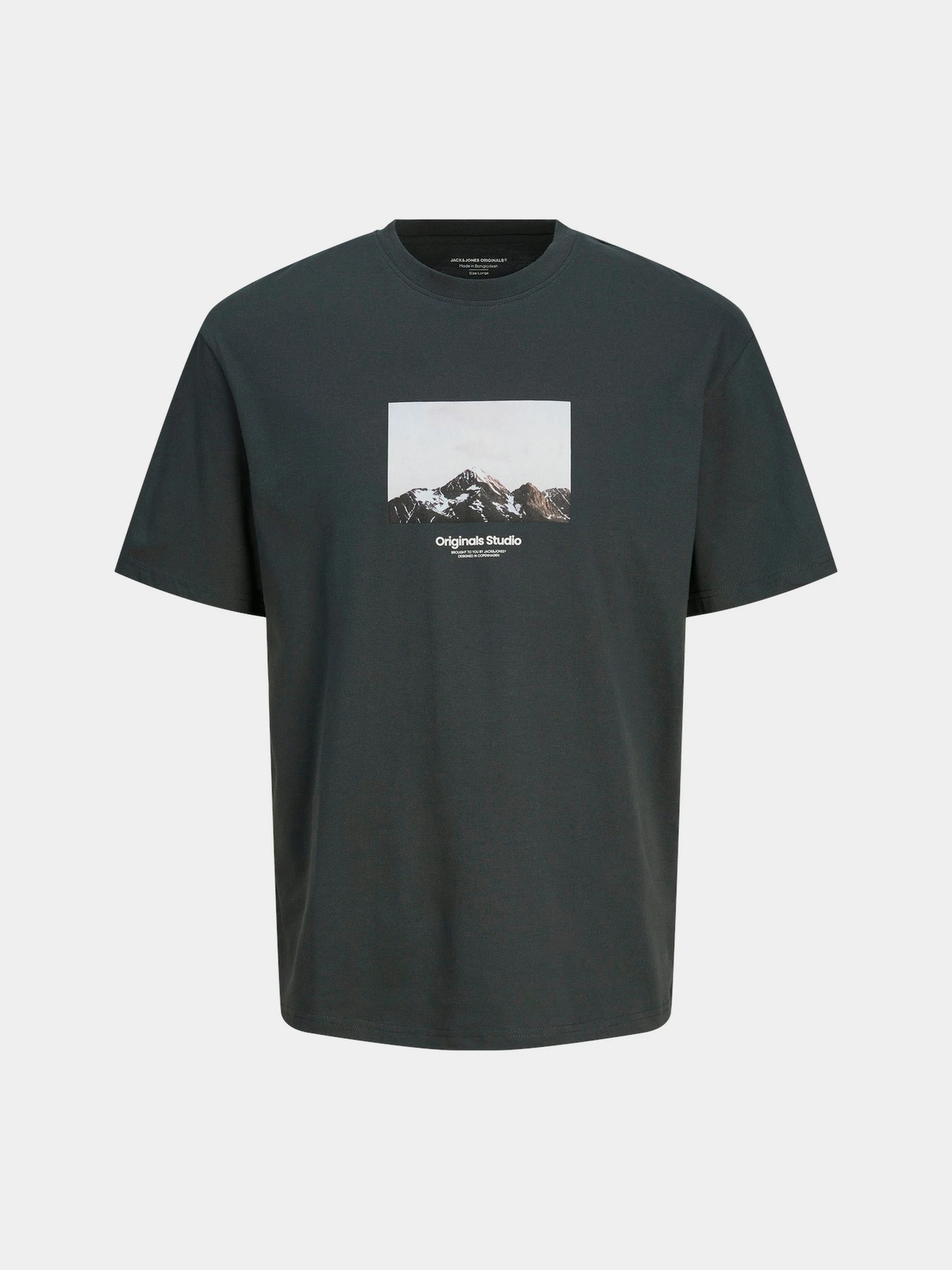 Футболки і поло JACK & JONES модель 12250421_Forest River AW24 Футболки і поло JACK & JONES модель 12250421_Forest River AW24 Фото
