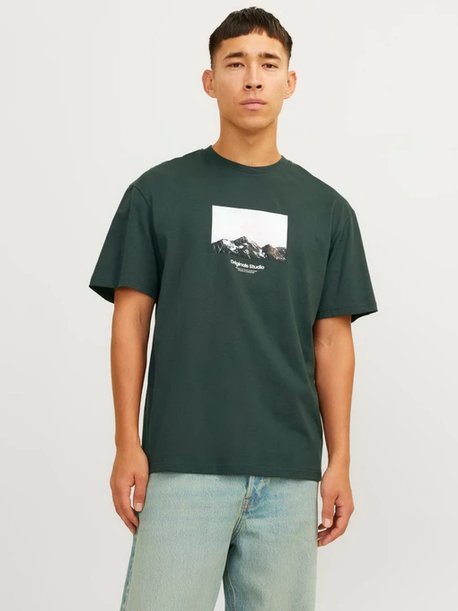 Футболки і поло JACK & JONES модель 12250421_Forest River AW24 Фото