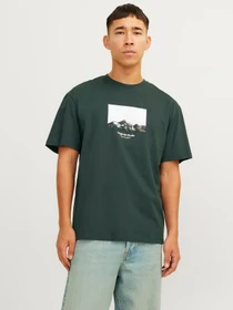 Футболки і поло JACK & JONES модель 12250421_Forest River AW24 Фото