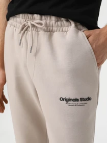 Брюки JACK & JONES модель 12268878_Moonbeam Фото