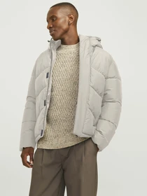 Куртки и дубленки JACK & JONES модель 12259850_Moonbeam Фото