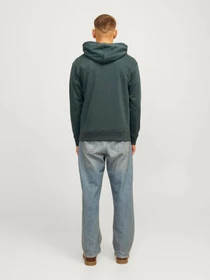 Худи и свитшоты JACK & JONES модель 12262421_Forest River Фото