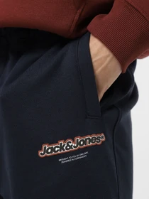 Брюки JACK & JONES модель 12266749_Sky Captain Фото