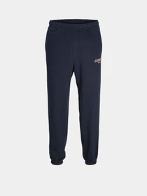 Брюки JACK & JONES модель 12266749_Sky Captain Фото