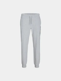 Брюки JACK & JONES модель 12268768_White Melange Фото