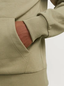 Худі та світшоти JACK & JONES модель 12266908_Silver Sage Фото