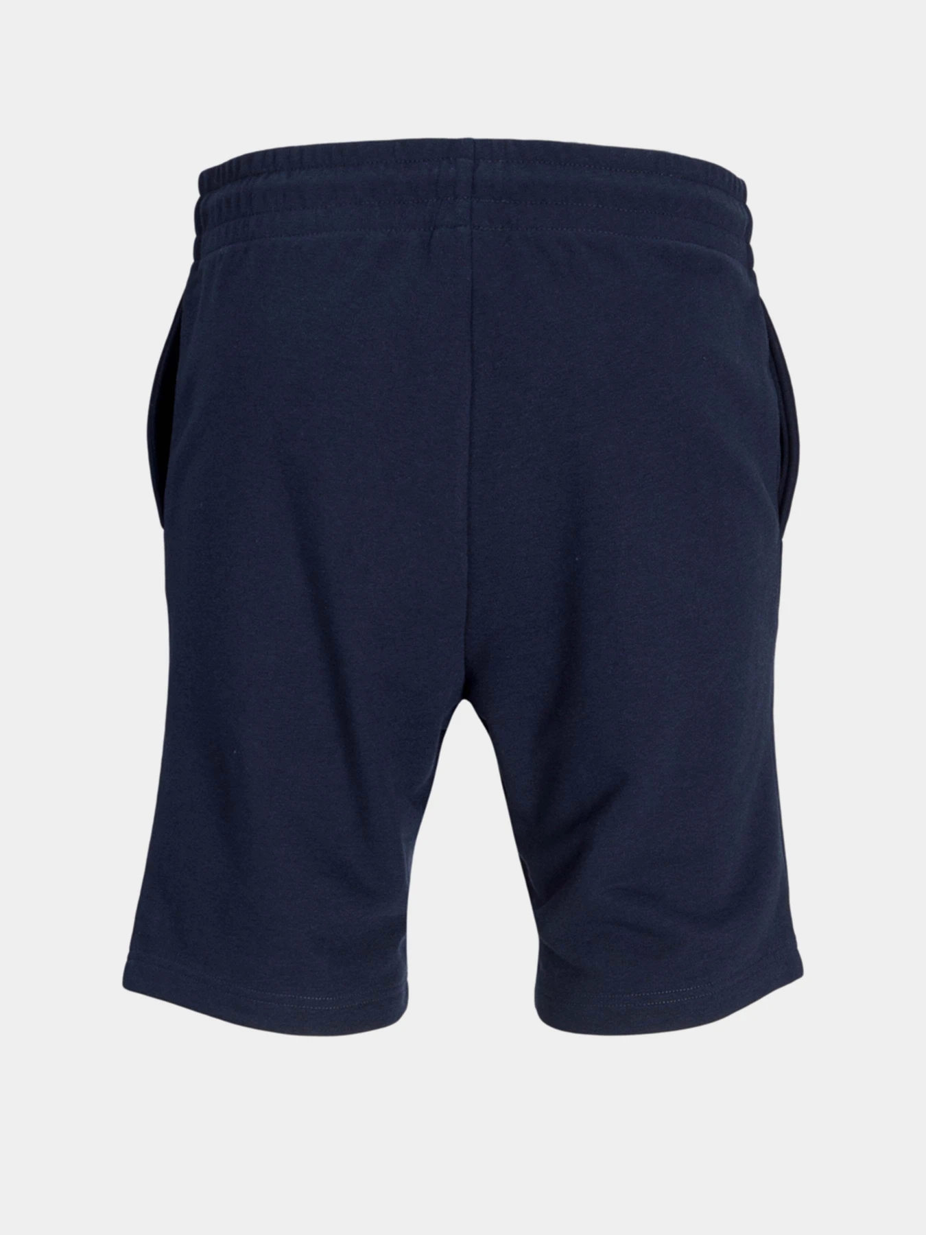 Шорты JACK & JONES модель 12268446_Sky Captain Шорты JACK & JONES модель 12268446_Sky Captain Фото