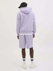 Шорти JACK & JONES модель 12252251_Cosmic Sky Фото