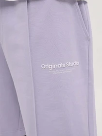 Шорти JACK & JONES модель 12252251_Cosmic Sky Фото