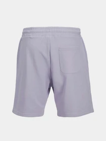 Шорти JACK & JONES модель 12252251_Cosmic Sky Фото