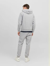 Худи и свитшоты JACK & JONES BRADLEY SWEAT ZIP HOOD модель 12249342_Light Grey Melange Фото
