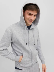 Худи и свитшоты JACK & JONES BRADLEY SWEAT ZIP HOOD модель 12249342_Light Grey Melange Фото
