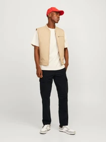 Брюки JACK & JONES KANE BARKLEY CARGO PANT модель 12258150_Black Фото