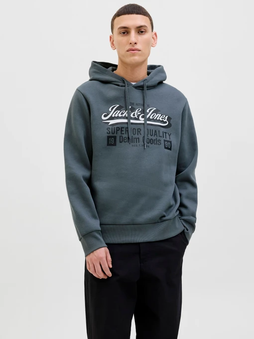 Худи и свитшоты JACK & JONES LOGO SWEAT HOOD модель 12279649_Stormy Weather Фото