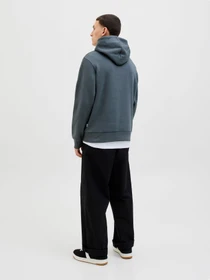 Худі та світшоти JACK & JONES LOGO SWEAT HOOD модель 12279649_Stormy Weather Фото