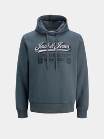 Худі та світшоти JACK & JONES LOGO SWEAT HOOD модель 12279649_Stormy Weather Фото