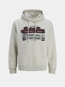 Худі та світшоти JACK & JONES LOGO SWEAT HOOD модель 12279649_White Melange Фото