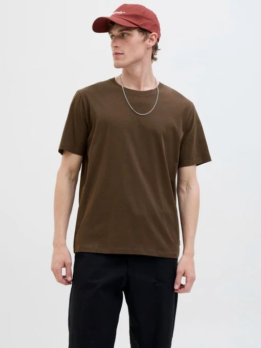 Футболки и поло JACK & JONES ORGANIC BASIC TEE модель 12156101_Delicioso Фото