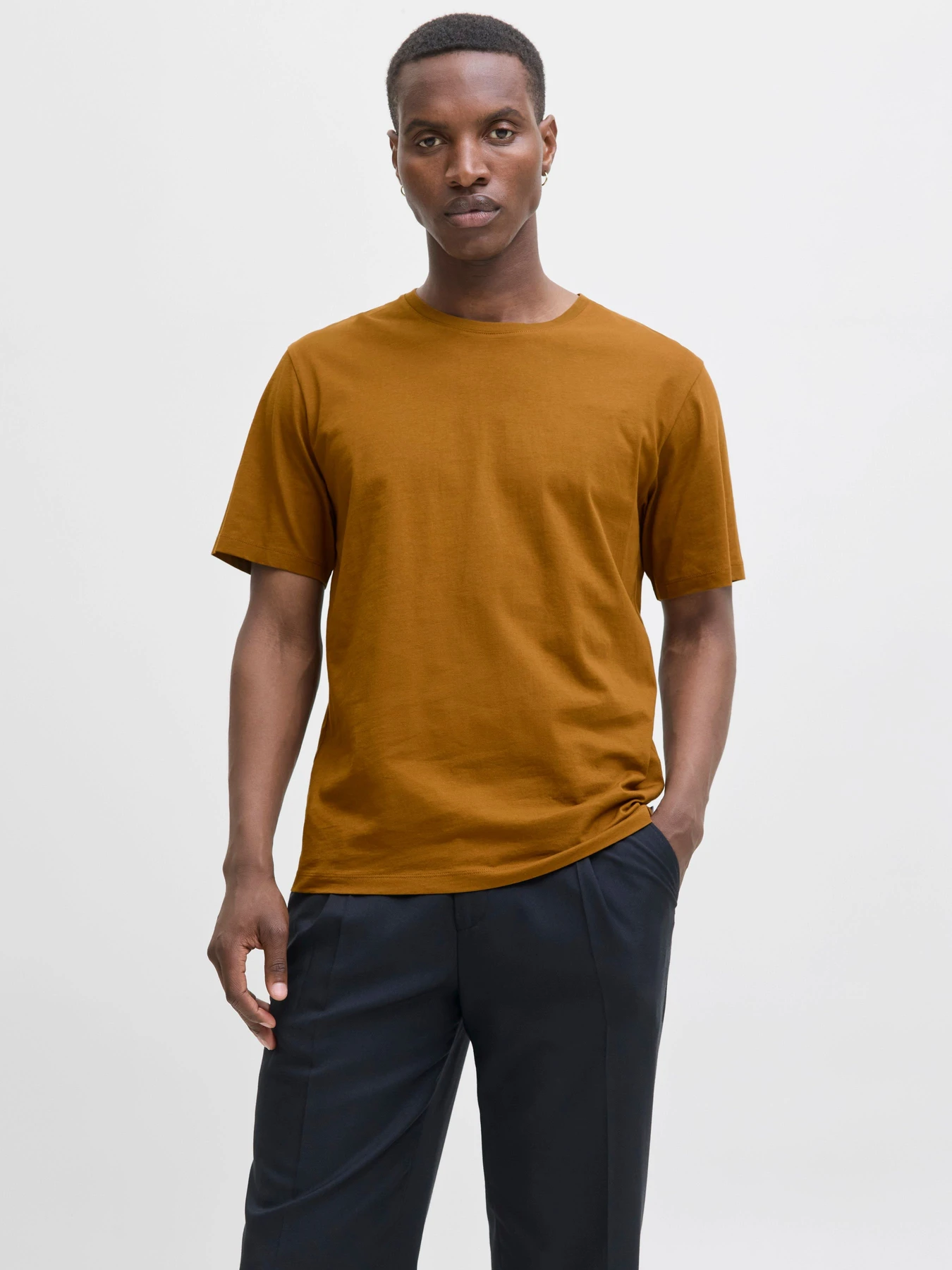Футболки и поло JACK & JONES ORGANIC BASIC TEE модель 12156101_Monks Robe Фото