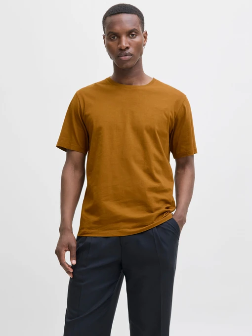 Футболки и поло JACK & JONES ORGANIC BASIC TEE модель 12156101_Monks Robe Фото