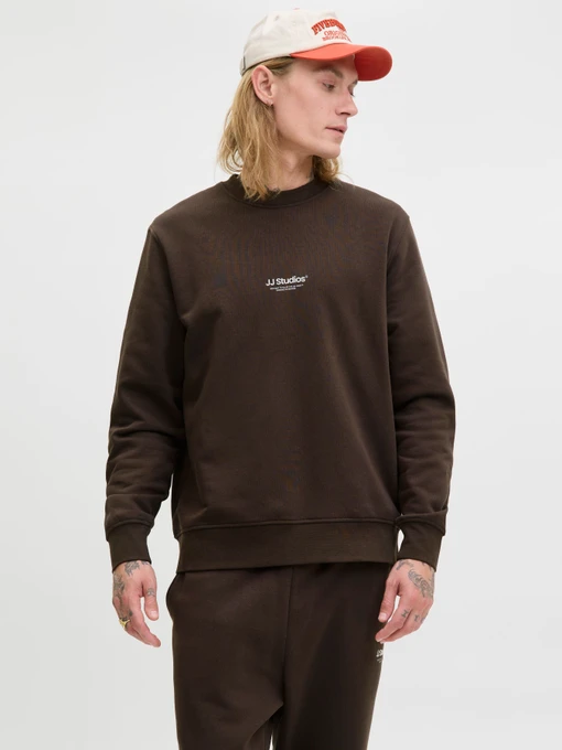 Худі та світшоти JACK & JONES SOHO SWEAT CREW NECK модель 12278791_Delicioso Фото