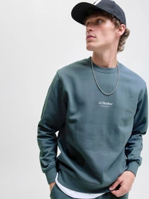 Худі та світшоти JACK & JONES SOHO SWEAT CREW NECK модель 12278791_Stormy Weather Фото