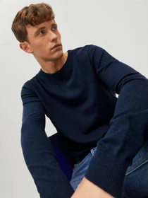 Светри та кардигани JACK & JONES EMIL KNIT CREW NECK модель 12208364_Navy Blazer Фото