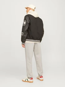 Брюки JACK & JONES GORDON STAR SWEAT PANTS модель 12248838_Moonbeam Фото