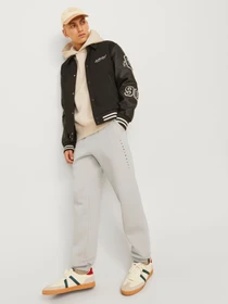 Брюки JACK & JONES GORDON STAR SWEAT PANTS модель 12248838_Moonbeam Фото