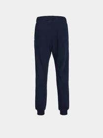 Штани JACK & JONES GORDON BRADLEY SWEAT PANT модель 12249274_Navy Blazer Фото