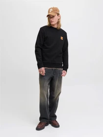Худи и свитшоты JACK & JONES BRANDY SWEAT CREW NECK модель 12279256_Black Фото