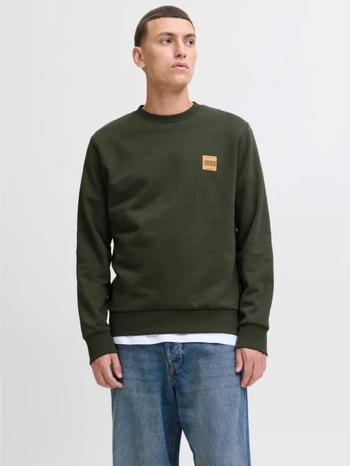 Худи и свитшоты JACK & JONES BRANDY SWEAT CREW NECK модель 12279256_Duffel Bag Фото