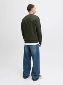 Худи и свитшоты JACK & JONES BRANDY SWEAT CREW NECK модель 12279256_Duffel Bag Фото