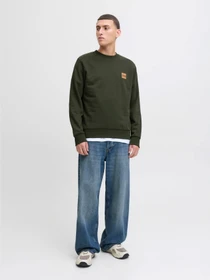 Худи и свитшоты JACK & JONES BRANDY SWEAT CREW NECK модель 12279256_Duffel Bag Фото