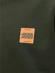 Худи и свитшоты JACK & JONES BRANDY SWEAT CREW NECK модель 12279256_Duffel Bag Фото