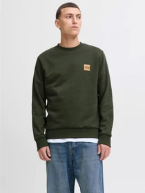 Худи и свитшоты JACK & JONES BRANDY SWEAT CREW NECK модель 12279256_Duffel Bag Фото