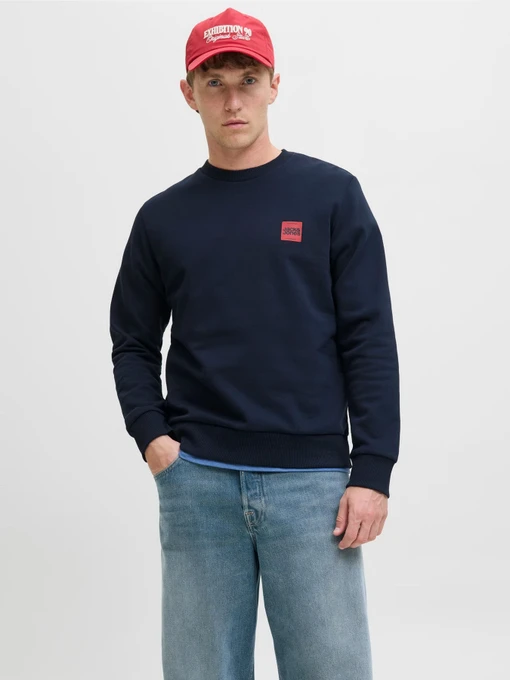 Худи и свитшоты JACK & JONES BRANDY SWEAT CREW NECK модель 12279256_Sky Captain Фото