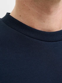 Худі та світшоти JACK & JONES BRANDY SWEAT CREW NECK модель 12279256_Sky Captain Фото